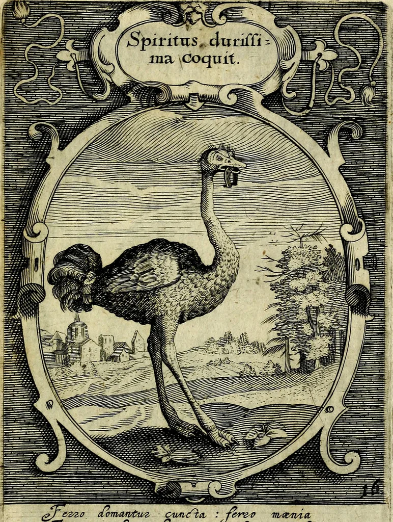 An illustration from Emblemata politica : in aula magna Curiae Noribergensis depicta, quae sacra viritutum suggerunt monita prudenter administrandi fortiterque defendendi rempublicam, 1617, leaf 52