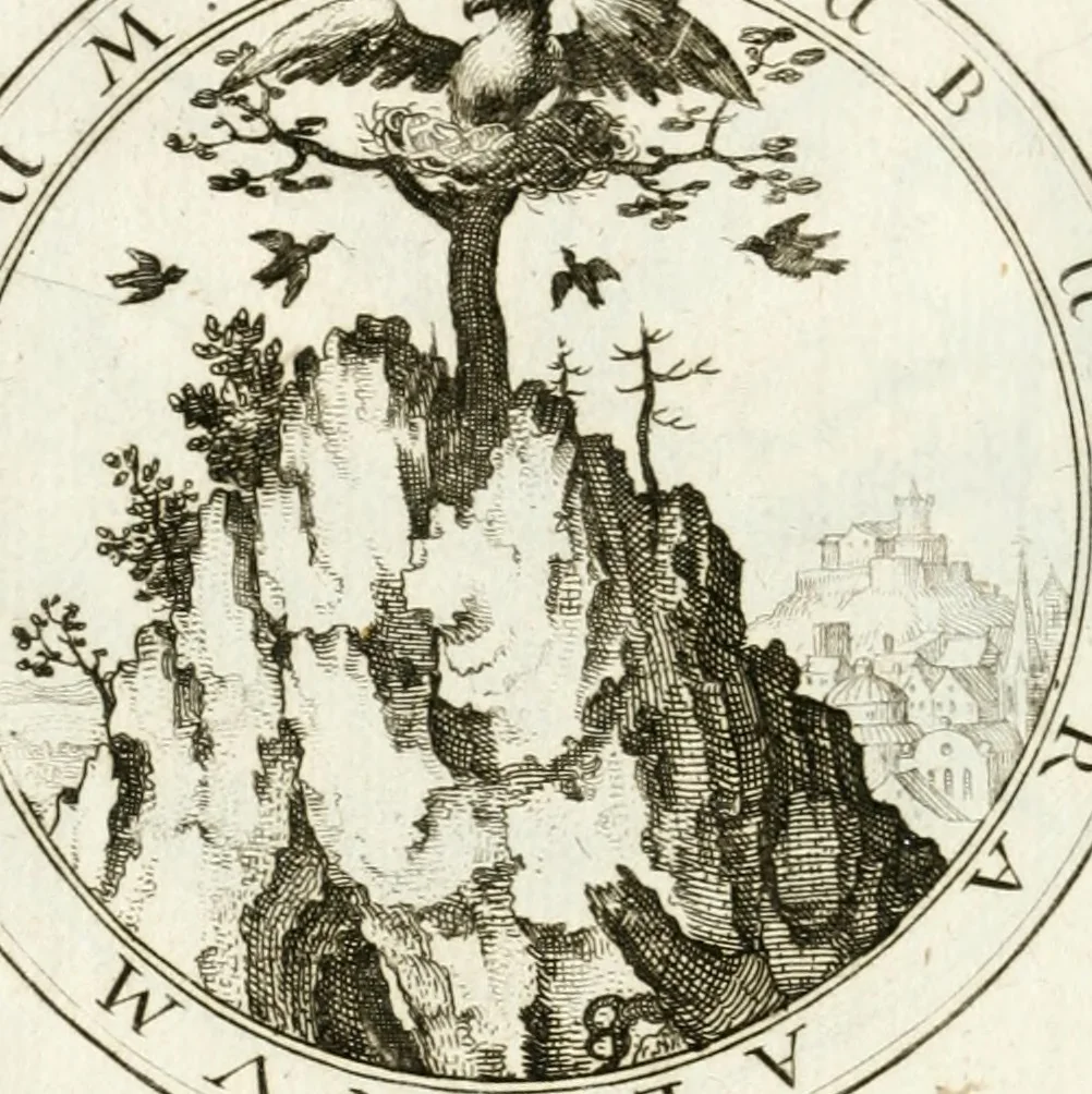 An illustration from Emblemata pro toga et sago, 1690, leaf 21