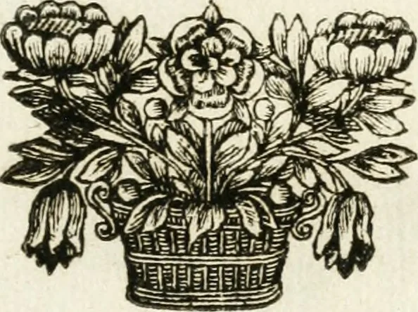An illustration from Emblemata pro toga et sago, 1690, leaf 6