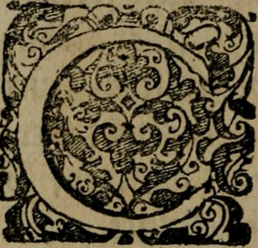 An illustration from Emblemata sacra : hoc est, decades quinque emblematum ex sacra scriptura, de dulcissimo nomine & cruce Jesu Christi, figuris aeneis incisorum ..., 1624, leaf 13