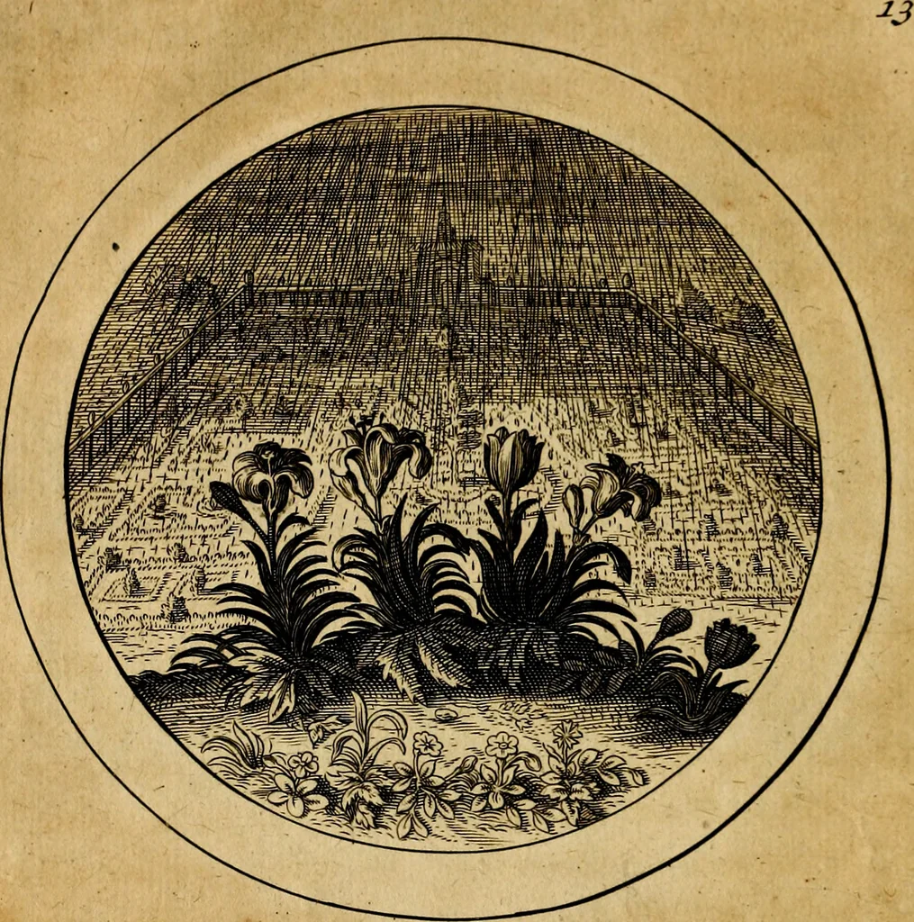 An illustration from Emblemata selectiora. Typis elegantissimis expressa, nec non sententiis, carminibus, historiis ac proverbiis, ex scriptoribus cum sacris tum profanis, antiquis & recentioribus, illustrata, 1704, leaf 55