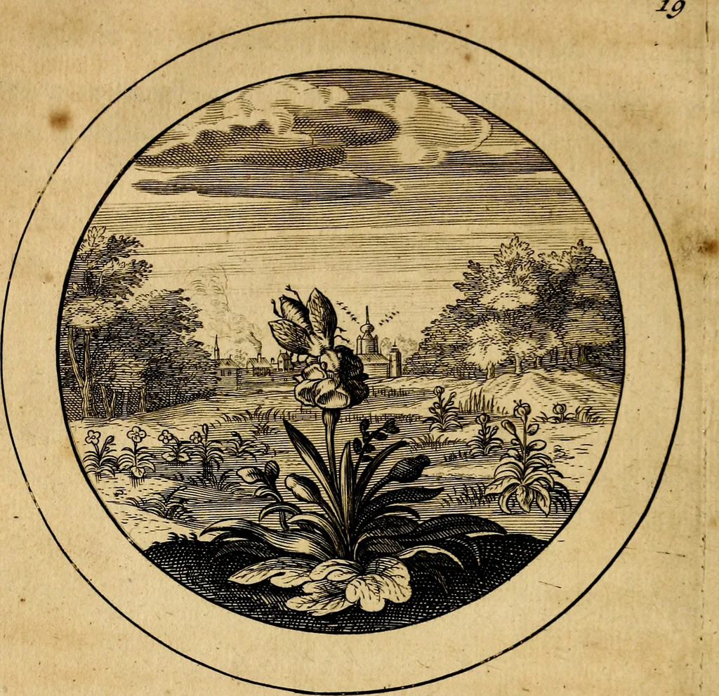 An illustration from Emblemata selectiora. Typis elegantissimis expressa, nec non sententiis, carminibus, historiis ac proverbiis, ex scriptoribus cum sacris tum profanis, antiquis & recentioribus, illustrata, 1704, leaf 79