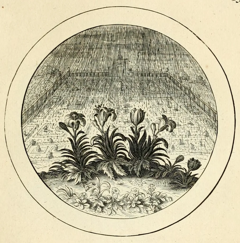 An illustration from Emblemata selectiora : typis elegantissimis expressa, nec non sententiis, carminibus, historiis ac proverbiis, ex scriptoribus cum sacris tum profanis, antiquis & recentioribus, illustrata .., 1704, leaf 109
