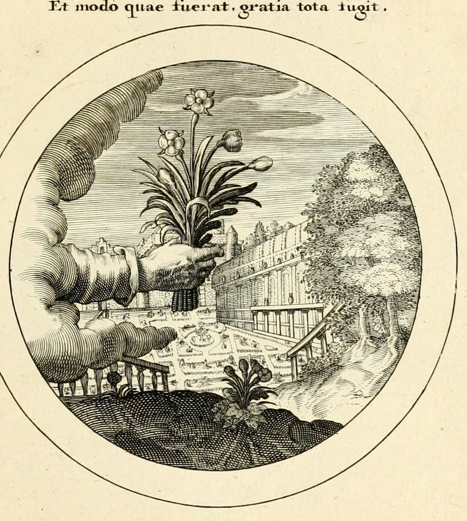 An illustration from Emblemata selectiora : typis elegantissimis expressa, nec non sententiis, carminibus, historiis ac proverbiis, ex scriptoribus cum sacris tum profanis, antiquis & recentioribus, illustrata .., 1704, leaf 117