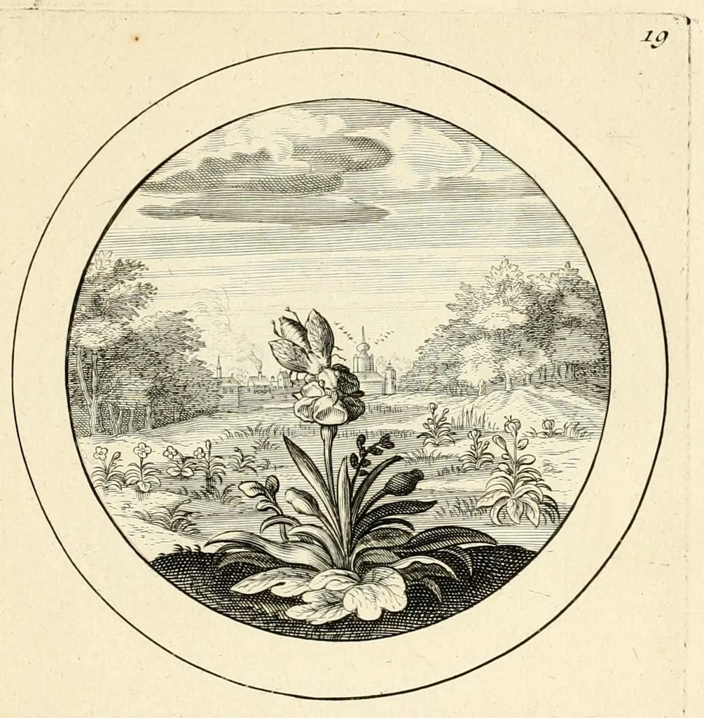 An illustration from Emblemata selectiora : typis elegantissimis expressa, nec non sententiis, carminibus, historiis ac proverbiis, ex scriptoribus cum sacris tum profanis, antiquis & recentioribus, illustrata .., 1704, leaf 121