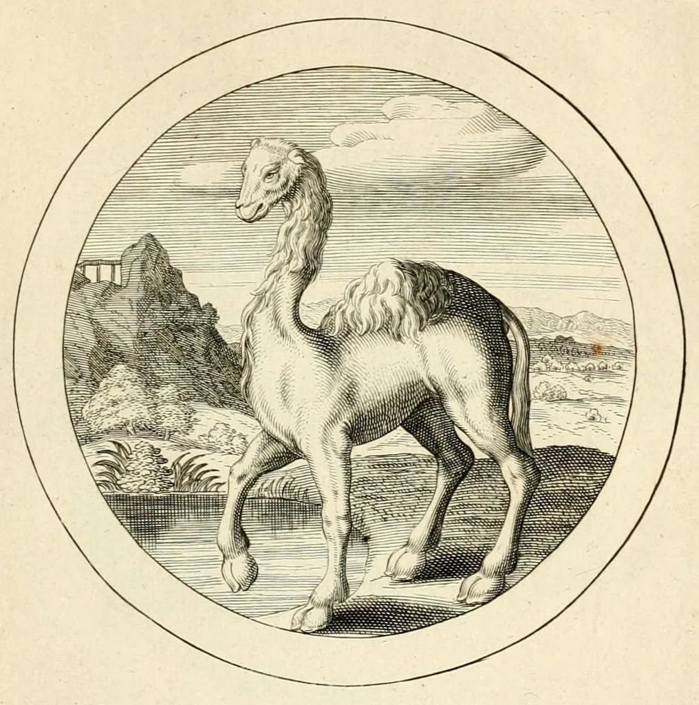 An illustration from Emblemata selectiora : typis elegantissimis expressa, nec non sententiis, carminibus, historiis ac proverbiis, ex scriptoribus cum sacris tum profanis, antiquis & recentioribus, illustrata .., 1704, leaf 97