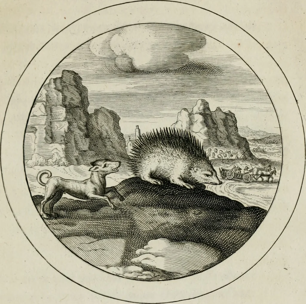 An illustration from Emblemata selectiora : typis elegantissimis expressa, nec non sententiis, carminibus, historiis ac proverbiis, ex scriptoribus cum sacris tum profanis, antiquis & recentioribus, illustrata, 1704, leaf 144