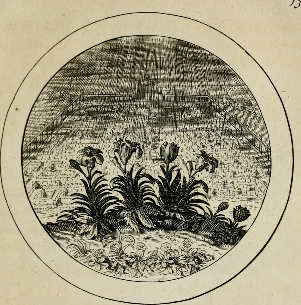 An illustration from Emblemata selectiora : typis elegantissimis expressa, nec non sententiis, carminibus, historiis ac proverbiis, ex scriptoribus cum sacris tum profanis, antiquis & recentioribus, illustrata, 1704, leaf 56
