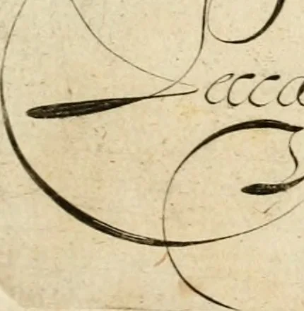 An illustration from Emblemata varia Gregori KleppisI, poetae l. caesarij : incisa aeri, aphorismis et epigrammatis illustrata, 1623, leaf 106