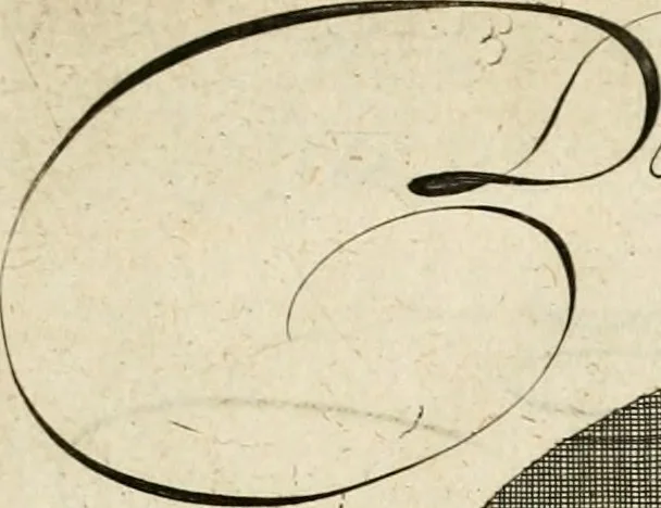 An illustration from Emblemata varia Gregori KleppisI, poetae l. caesarij : incisa aeri, aphorismis et epigrammatis illustrata, 1623, leaf 38