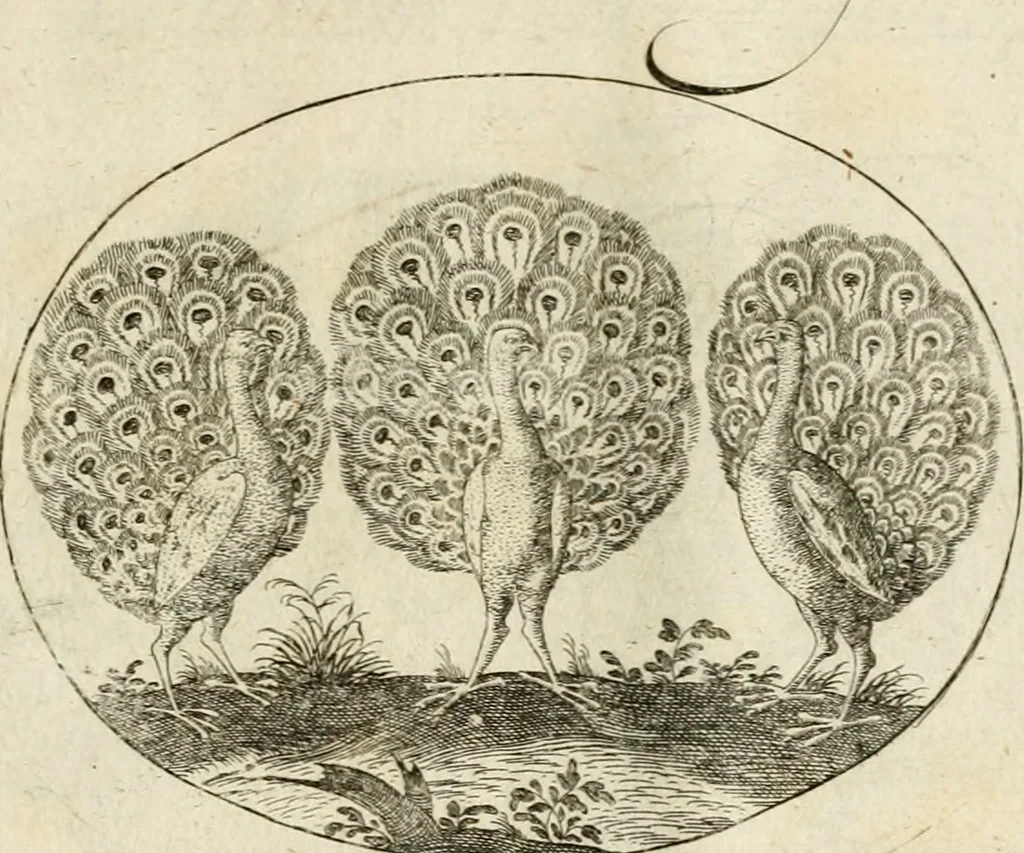 An illustration from Emblemata varia Gregori KleppisI, poetae l. caesarij : incisa aeri, aphorismis et epigrammatis illustrata, 1623, leaf 68