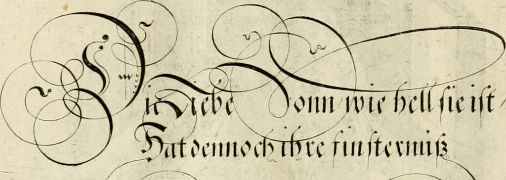 An illustration from Emblemata varia Gregori KleppisI, poetae l. caesarij : incisa aeri, aphorismis et epigrammatis illustrata, 1623, leaf 81