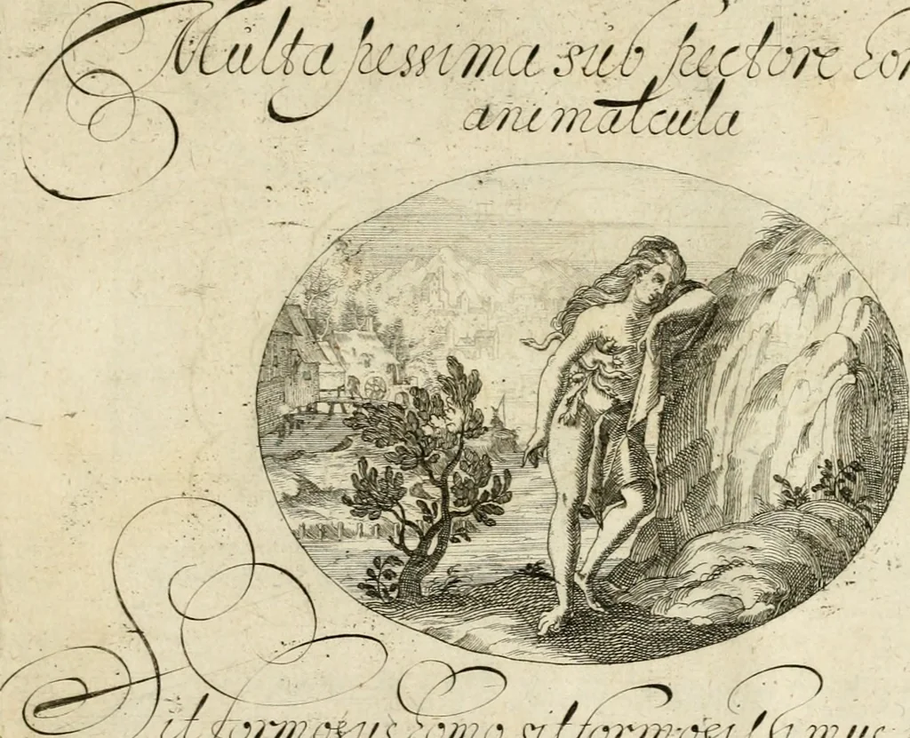 An illustration from Emblemata varia Gregori KleppisI, poetae l. caesarij : incisa aeri, aphorismis et epigrammatis illustrata, 1623, leaf 88