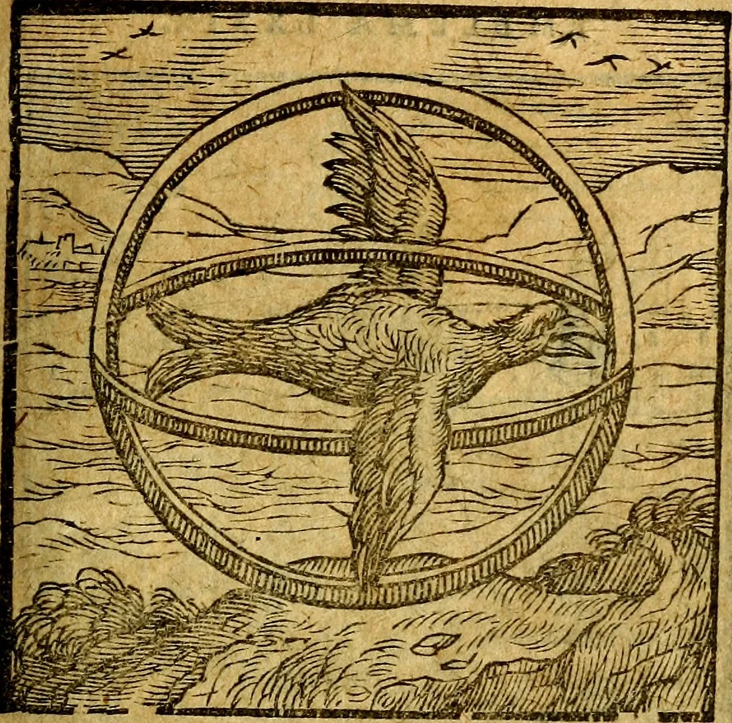 An illustration from Emblemata V.C. Andreae Alciati Mediolanensis iurisconsulti : cum facili & compendiosa explicatione, qua obscura illustrantur, dubiaq́ue omnia soluuntur,, 1622, leaf 100