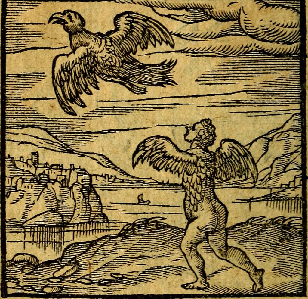 An illustration from Emblemata V.C. Andreae Alciati Mediolanensis iurisconsulti : cum facili & compendiosa explicatione, qua obscura illustrantur, dubiaq́ue omnia soluuntur,, 1622, leaf 105