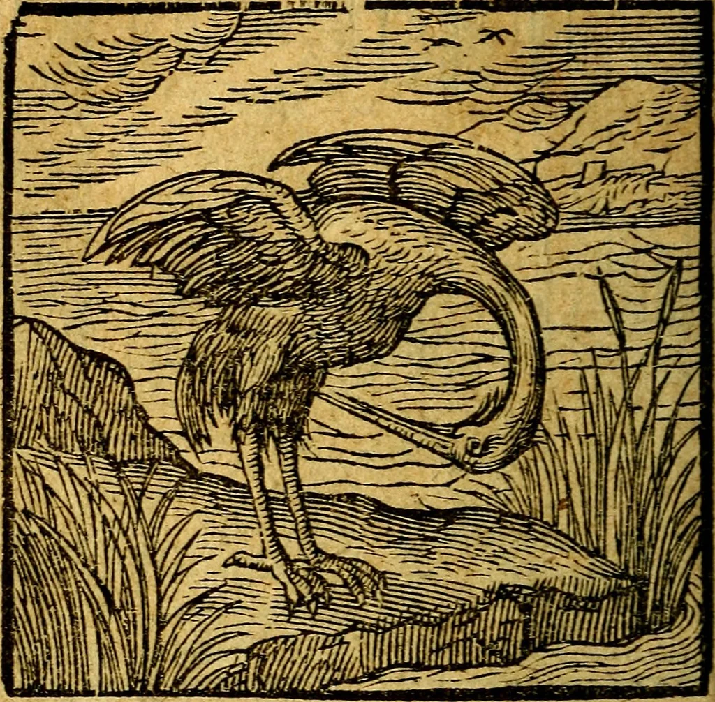 An illustration from Emblemata V.C. Andreae Alciati Mediolanensis iurisconsulti : cum facili & compendiosa explicatione, qua obscura illustrantur, dubiaq́ue omnia soluuntur,, 1622, leaf 109