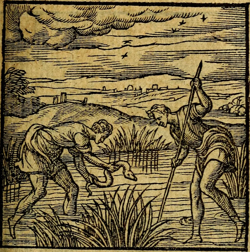 An illustration from Emblemata V.C. Andreae Alciati Mediolanensis iurisconsulti : cum facili & compendiosa explicatione, qua obscura illustrantur, dubiaq́ue omnia soluuntur,, 1622, leaf 110