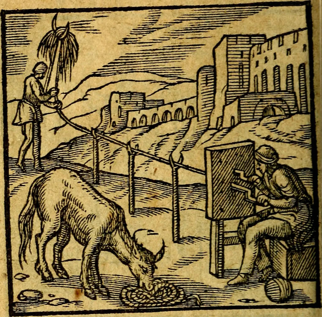 An illustration from Emblemata V.C. Andreae Alciati Mediolanensis iurisconsulti : cum facili & compendiosa explicatione, qua obscura illustrantur, dubiaq́ue omnia soluuntur,, 1622, leaf 113