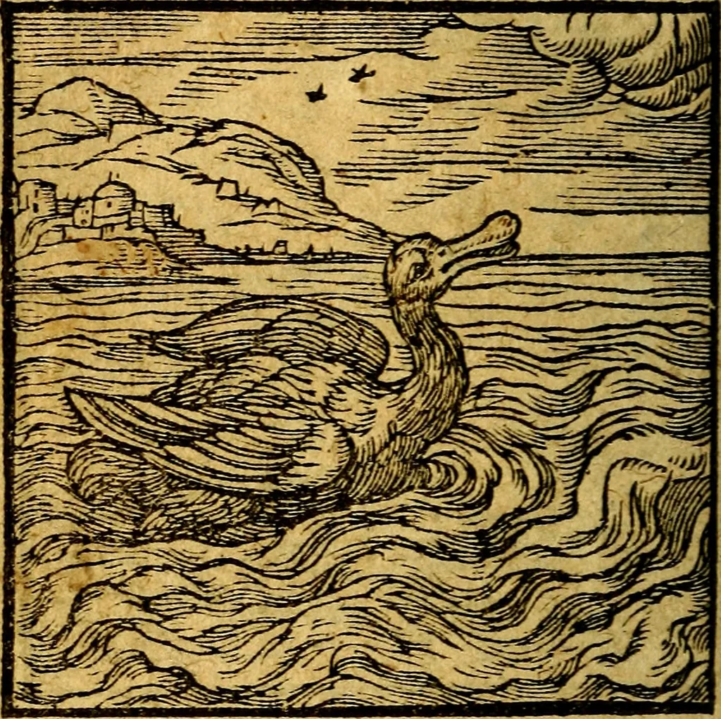 An illustration from Emblemata V.C. Andreae Alciati Mediolanensis iurisconsulti : cum facili & compendiosa explicatione, qua obscura illustrantur, dubiaq́ue omnia soluuntur,, 1622, leaf 117