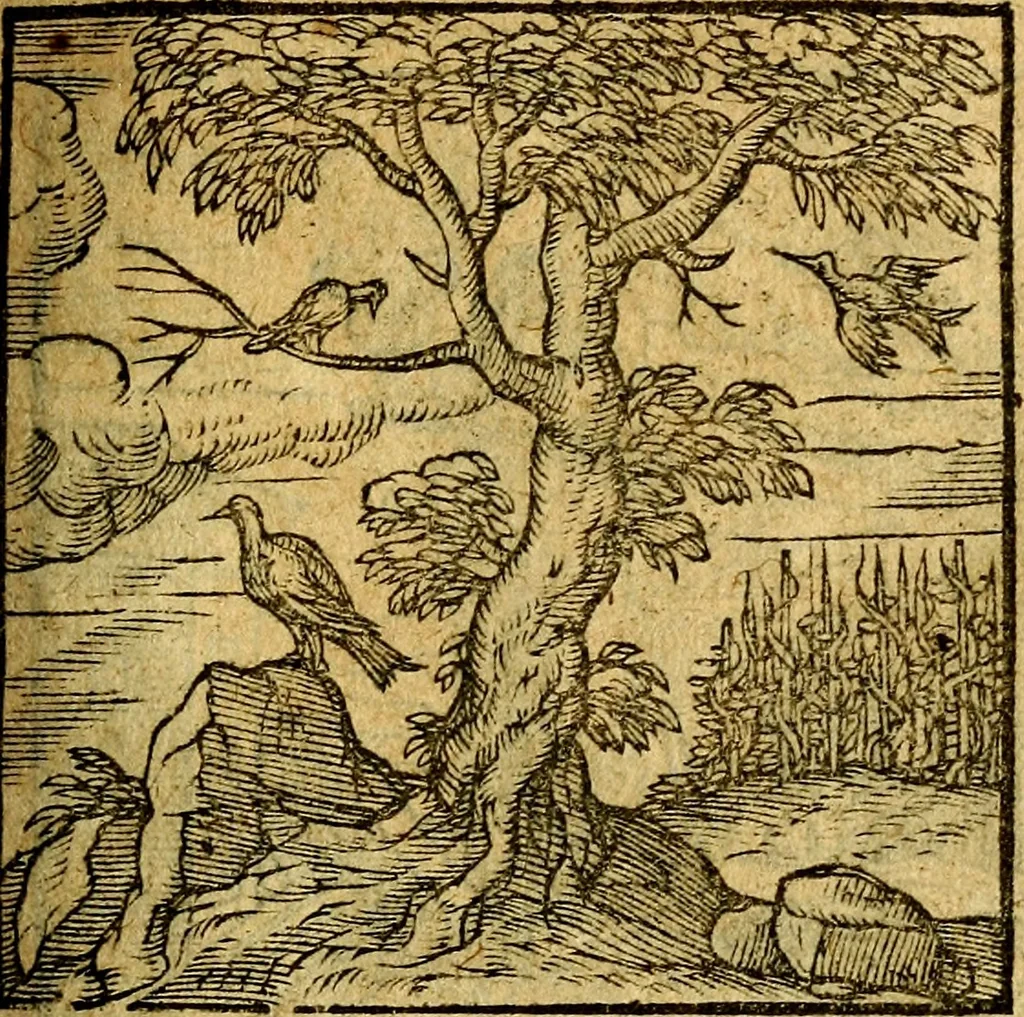 An illustration from Emblemata V.C. Andreae Alciati Mediolanensis iurisconsulti : cum facili & compendiosa explicatione, qua obscura illustrantur, dubiaq́ue omnia soluuntur,, 1622, leaf 124