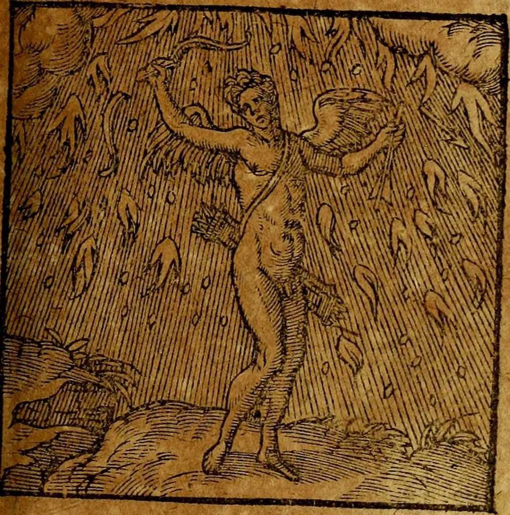 An illustration from Emblemata V.C. Andreae Alciati Mediolanensis iurisconsulti : cum facili & compendiosa explicatione, qua obscura illustrantur, dubiaq́ue omnia soluuntur,, 1622, leaf 132