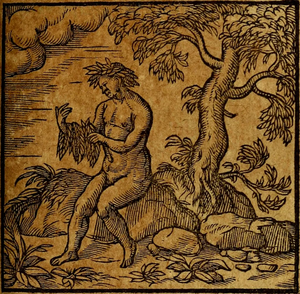 An illustration from Emblemata V.C. Andreae Alciati Mediolanensis iurisconsulti : cum facili & compendiosa explicatione, qua obscura illustrantur, dubiaq́ue omnia soluuntur,, 1622, leaf 134