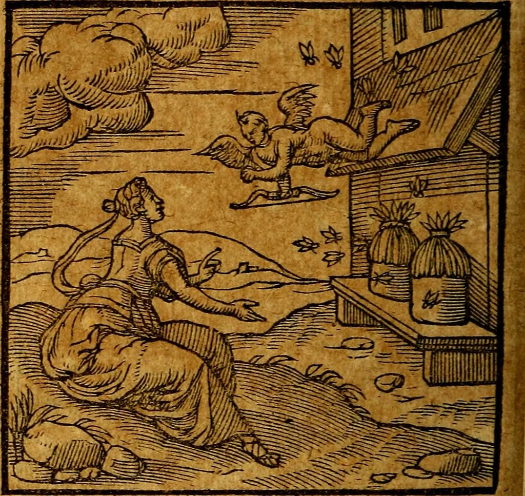 An illustration from Emblemata V.C. Andreae Alciati Mediolanensis iurisconsulti : cum facili & compendiosa explicatione, qua obscura illustrantur, dubiaq́ue omnia soluuntur,, 1622, leaf 137