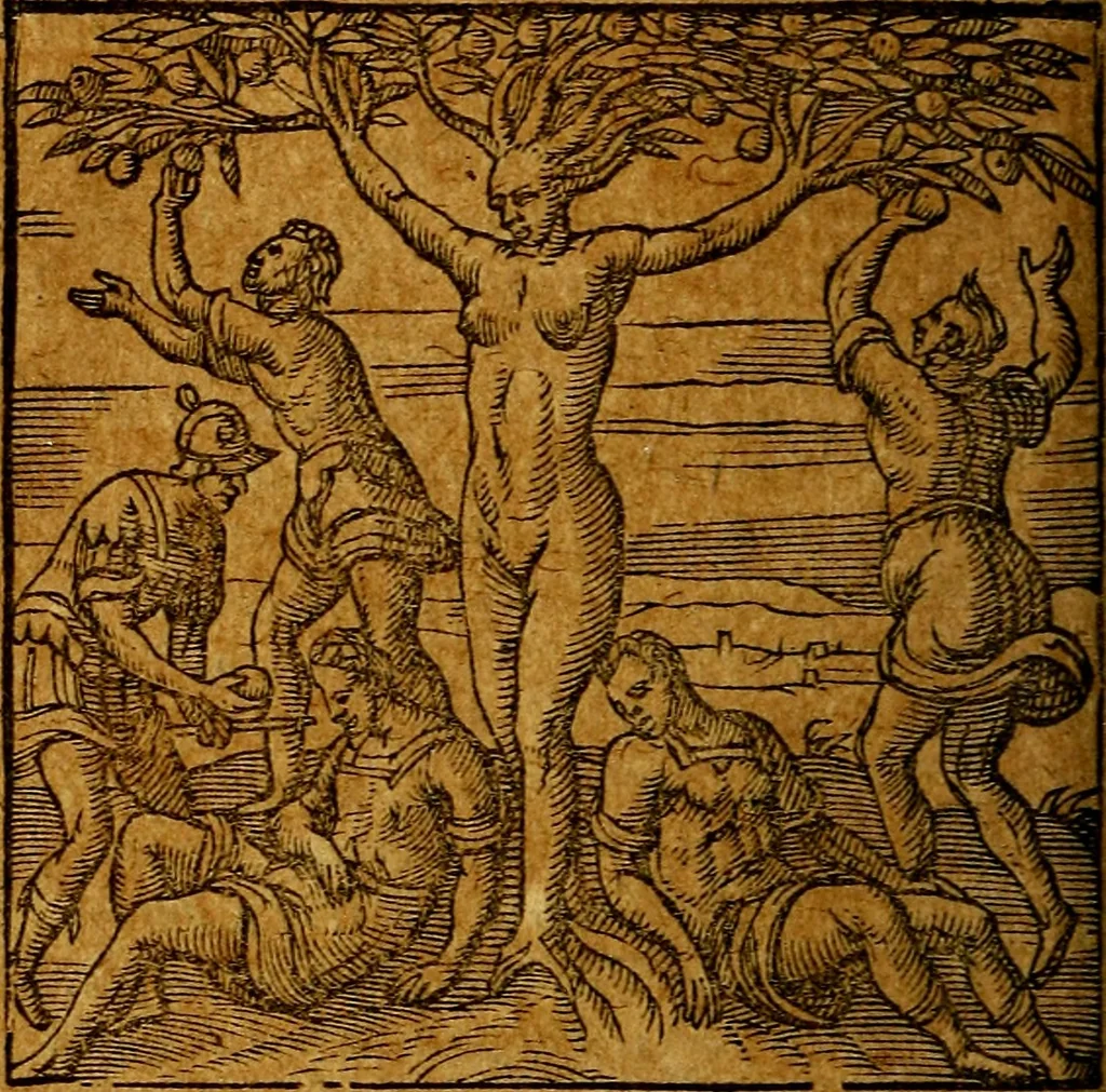 An illustration from Emblemata V.C. Andreae Alciati Mediolanensis iurisconsulti : cum facili & compendiosa explicatione, qua obscura illustrantur, dubiaq́ue omnia soluuntur,, 1622, leaf 141