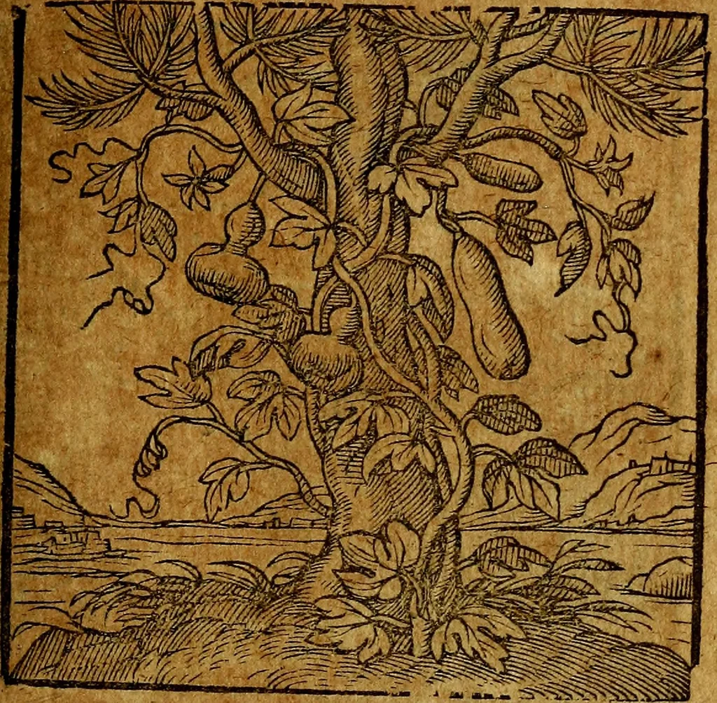An illustration from Emblemata V.C. Andreae Alciati Mediolanensis iurisconsulti : cum facili & compendiosa explicatione, qua obscura illustrantur, dubiaq́ue omnia soluuntur,, 1622, leaf 154