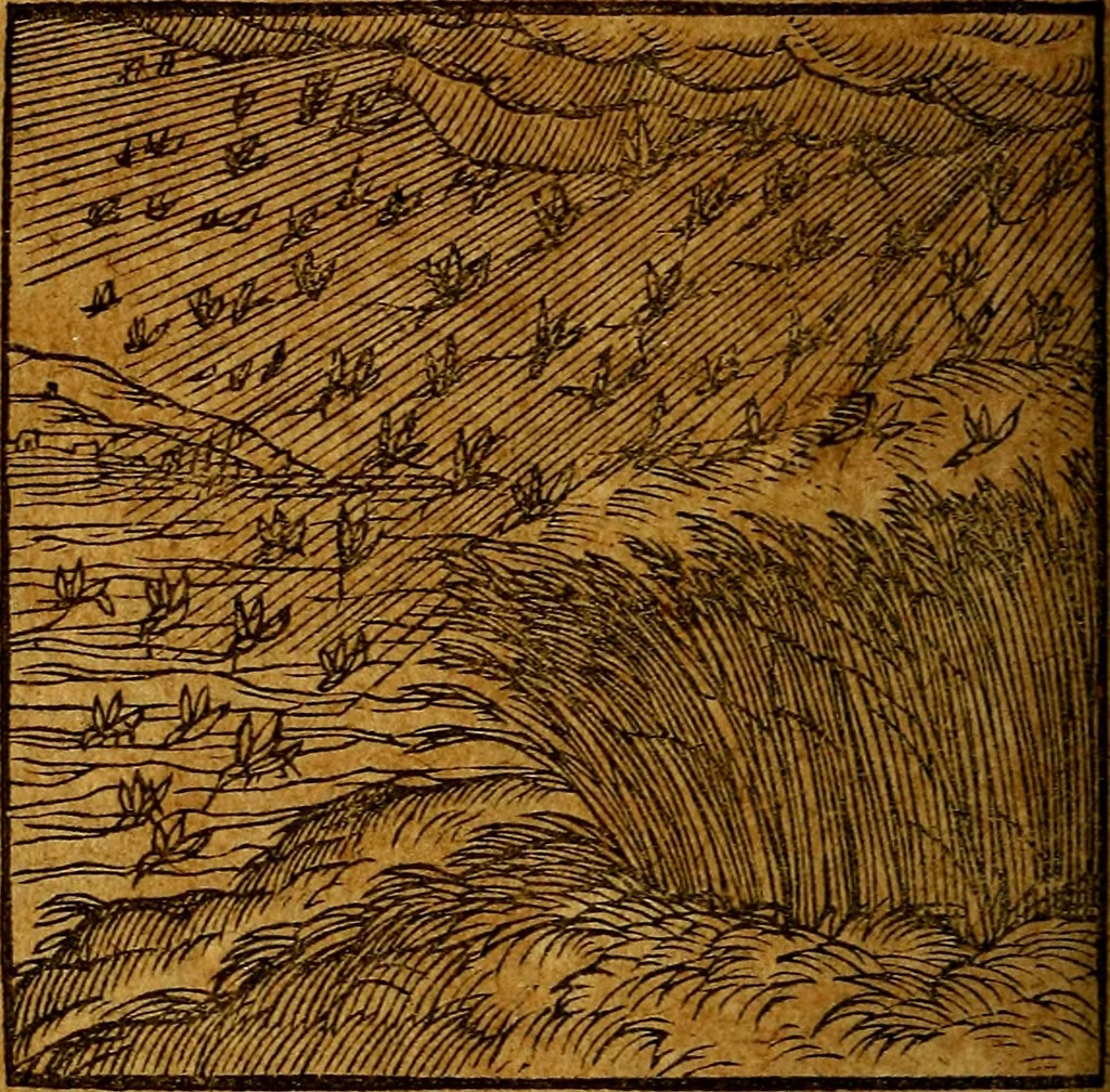 An illustration from Emblemata V.C. Andreae Alciati Mediolanensis iurisconsulti : cum facili & compendiosa explicatione, qua obscura illustrantur, dubiaq́ue omnia soluuntur,, 1622, leaf 157