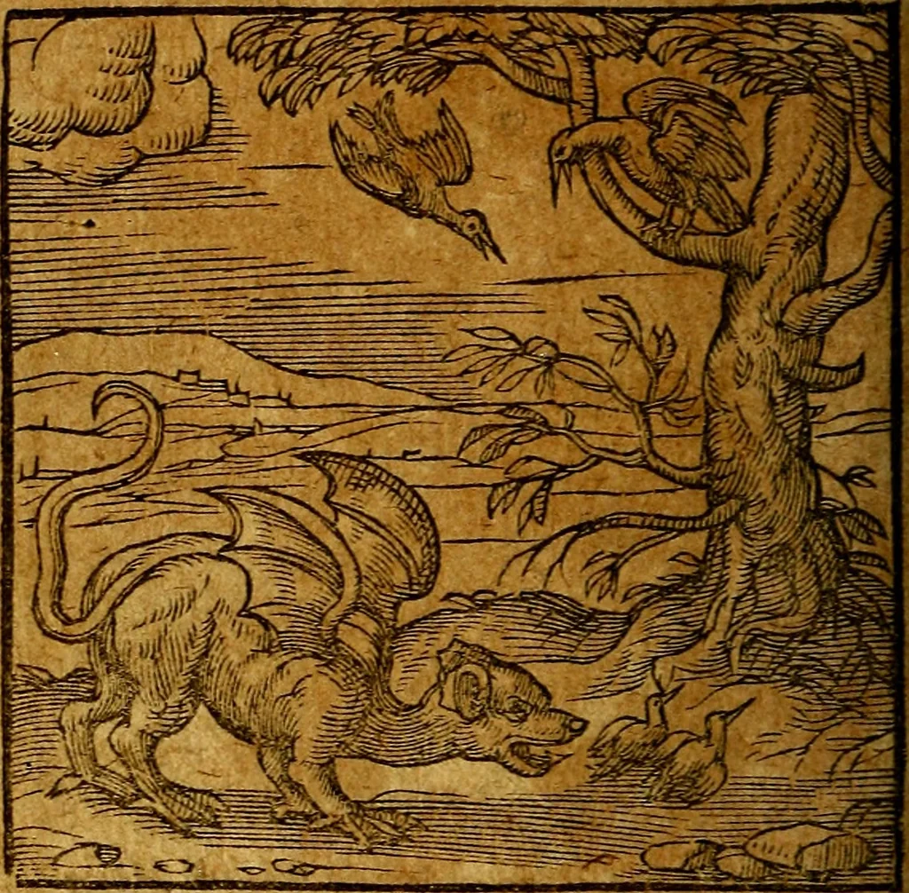 An illustration from Emblemata V.C. Andreae Alciati Mediolanensis iurisconsulti : cum facili & compendiosa explicatione, qua obscura illustrantur, dubiaq́ue omnia soluuntur,, 1622, leaf 161