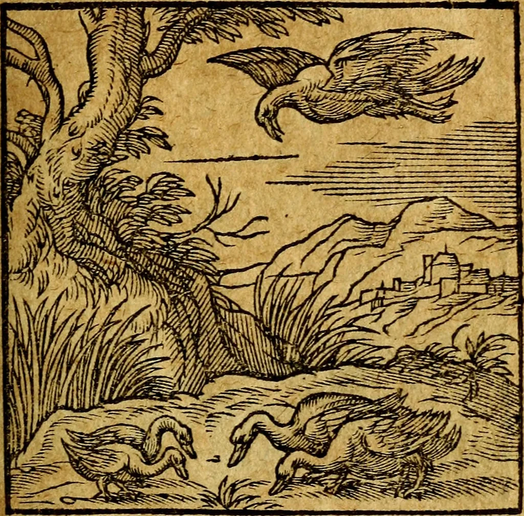 An illustration from Emblemata V.C. Andreae Alciati Mediolanensis iurisconsulti : cum facili & compendiosa explicatione, qua obscura illustrantur, dubiaq́ue omnia soluuntur,, 1622, leaf 170