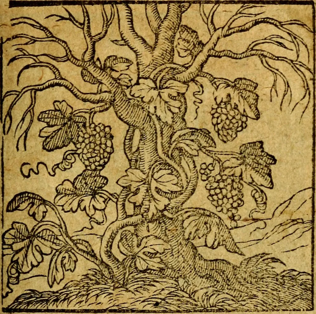 An illustration from Emblemata V.C. Andreae Alciati Mediolanensis iurisconsulti : cum facili & compendiosa explicatione, qua obscura illustrantur, dubiaq́ue omnia soluuntur,, 1622, leaf 194