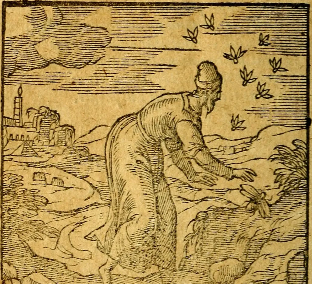 An illustration from Emblemata V.C. Andreae Alciati Mediolanensis iurisconsulti : cum facili & compendiosa explicatione, qua obscura illustrantur, dubiaq́ue omnia soluuntur,, 1622, leaf 199