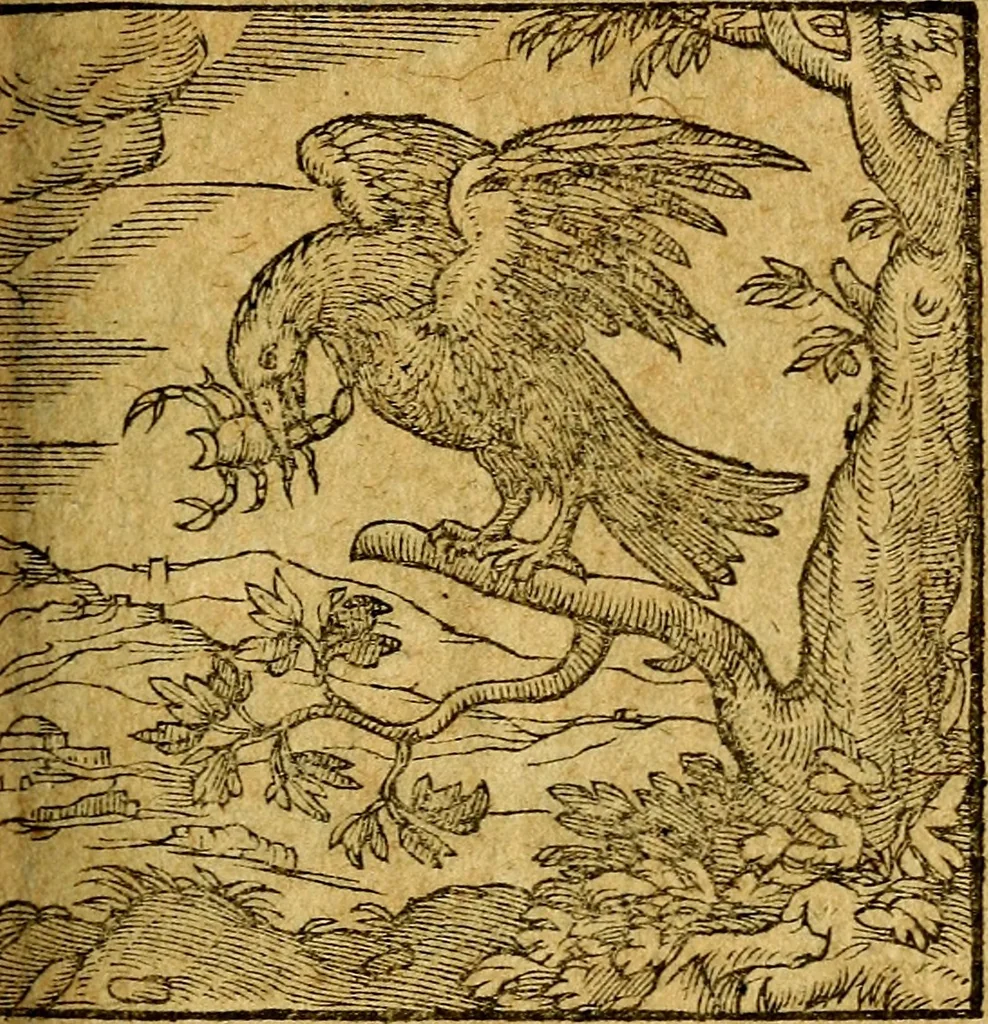 An illustration from Emblemata V.C. Andreae Alciati Mediolanensis iurisconsulti : cum facili & compendiosa explicatione, qua obscura illustrantur, dubiaq́ue omnia soluuntur,, 1622, leaf 208