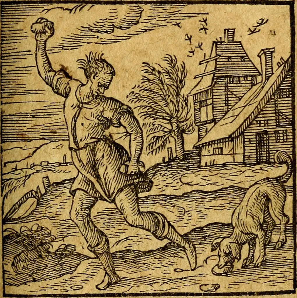 An illustration from Emblemata V.C. Andreae Alciati Mediolanensis iurisconsulti : cum facili & compendiosa explicatione, qua obscura illustrantur, dubiaq́ue omnia soluuntur,, 1622, leaf 210