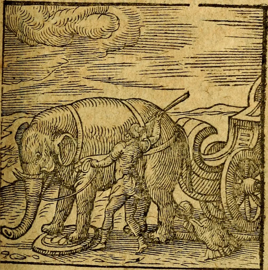 An illustration from Emblemata V.C. Andreae Alciati Mediolanensis iurisconsulti : cum facili & compendiosa explicatione, qua obscura illustrantur, dubiaq́ue omnia soluuntur,, 1622, leaf 212