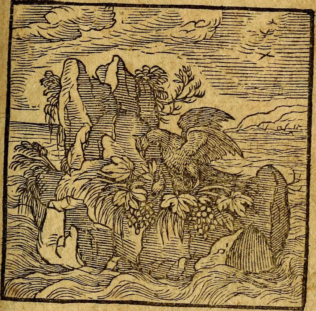 An illustration from Emblemata V.C. Andreae Alciati Mediolanensis iurisconsulti : cum facili & compendiosa explicatione, qua obscura illustrantur, dubiaq́ue omnia soluuntur,, 1622, leaf 214