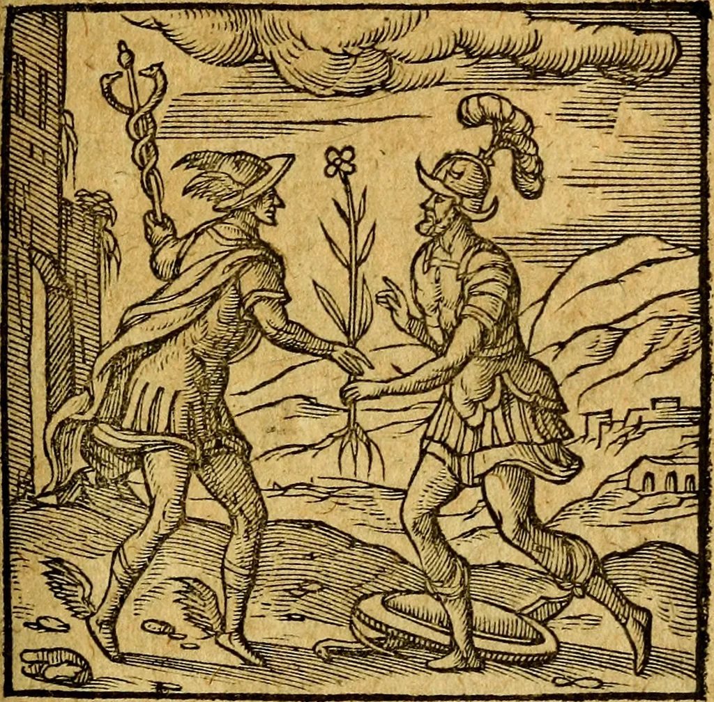 An illustration from Emblemata V.C. Andreae Alciati Mediolanensis iurisconsulti : cum facili & compendiosa explicatione, qua obscura illustrantur, dubiaq́ue omnia soluuntur,, 1622, leaf 218