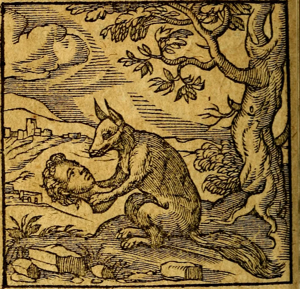 An illustration from Emblemata V.C. Andreae Alciati Mediolanensis iurisconsulti : cum facili & compendiosa explicatione, qua obscura illustrantur, dubiaq́ue omnia soluuntur,, 1622, leaf 229