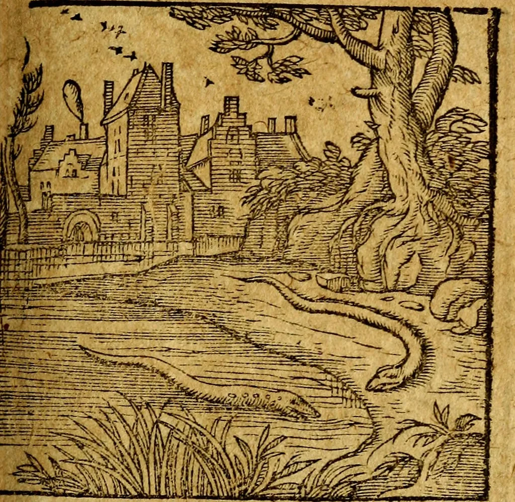An illustration from Emblemata V.C. Andreae Alciati Mediolanensis iurisconsulti : cum facili & compendiosa explicatione, qua obscura illustrantur, dubiaq́ue omnia soluuntur,, 1622, leaf 232