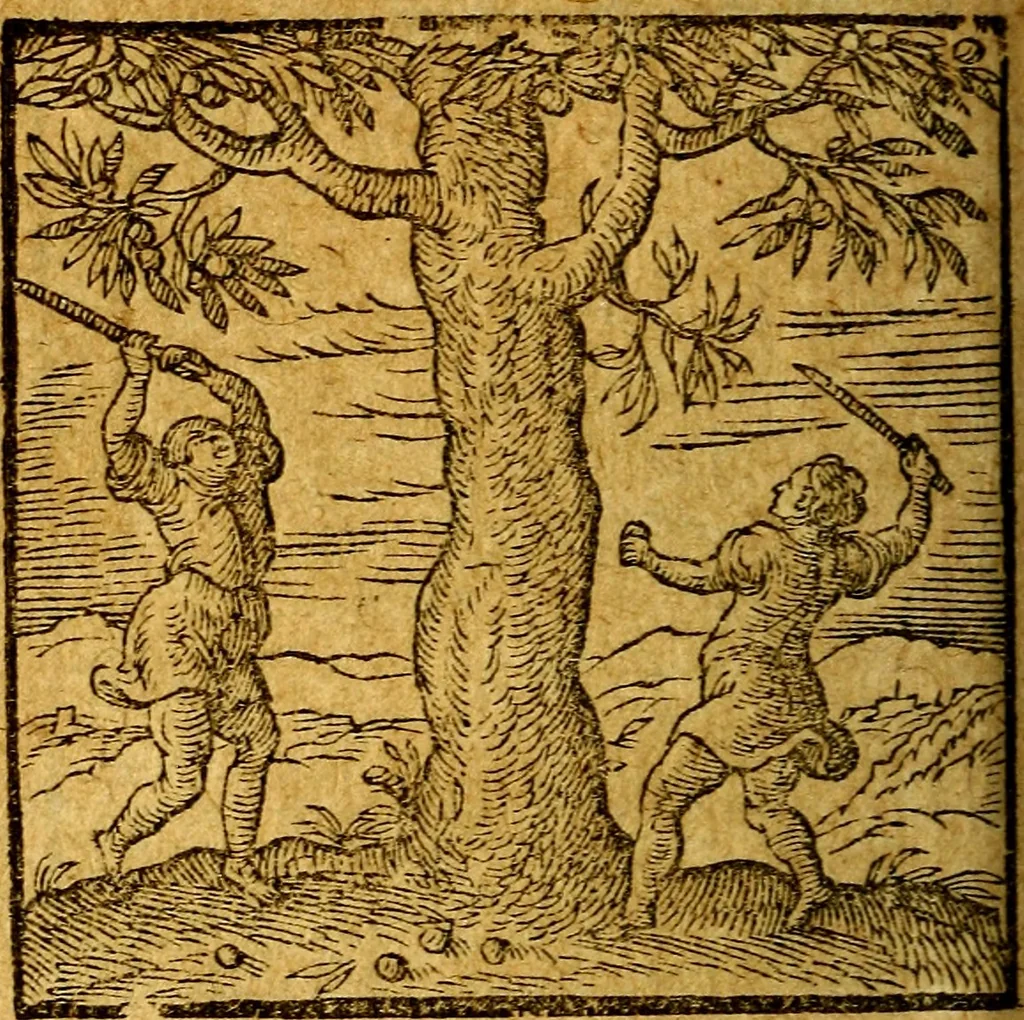 An illustration from Emblemata V.C. Andreae Alciati Mediolanensis iurisconsulti : cum facili & compendiosa explicatione, qua obscura illustrantur, dubiaq́ue omnia soluuntur,, 1622, leaf 233