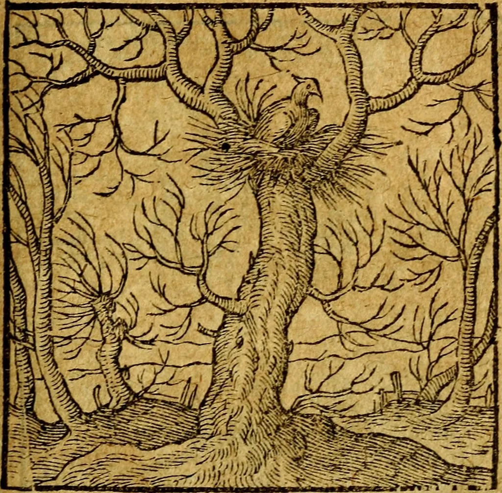 An illustration from Emblemata V.C. Andreae Alciati Mediolanensis iurisconsulti : cum facili & compendiosa explicatione, qua obscura illustrantur, dubiaq́ue omnia soluuntur,, 1622, leaf 234