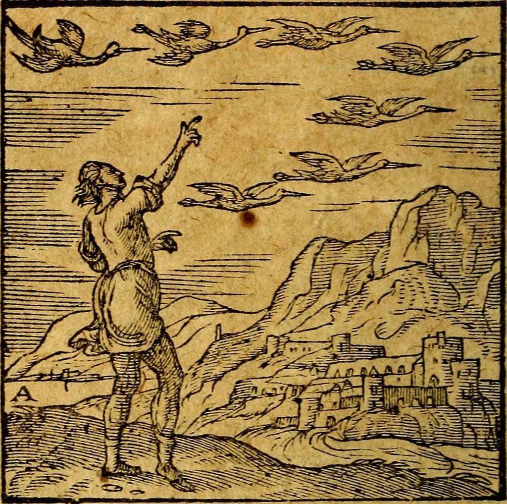An illustration from Emblemata V.C. Andreae Alciati Mediolanensis iurisconsulti : cum facili & compendiosa explicatione, qua obscura illustrantur, dubiaq́ue omnia soluuntur,, 1622, leaf 37