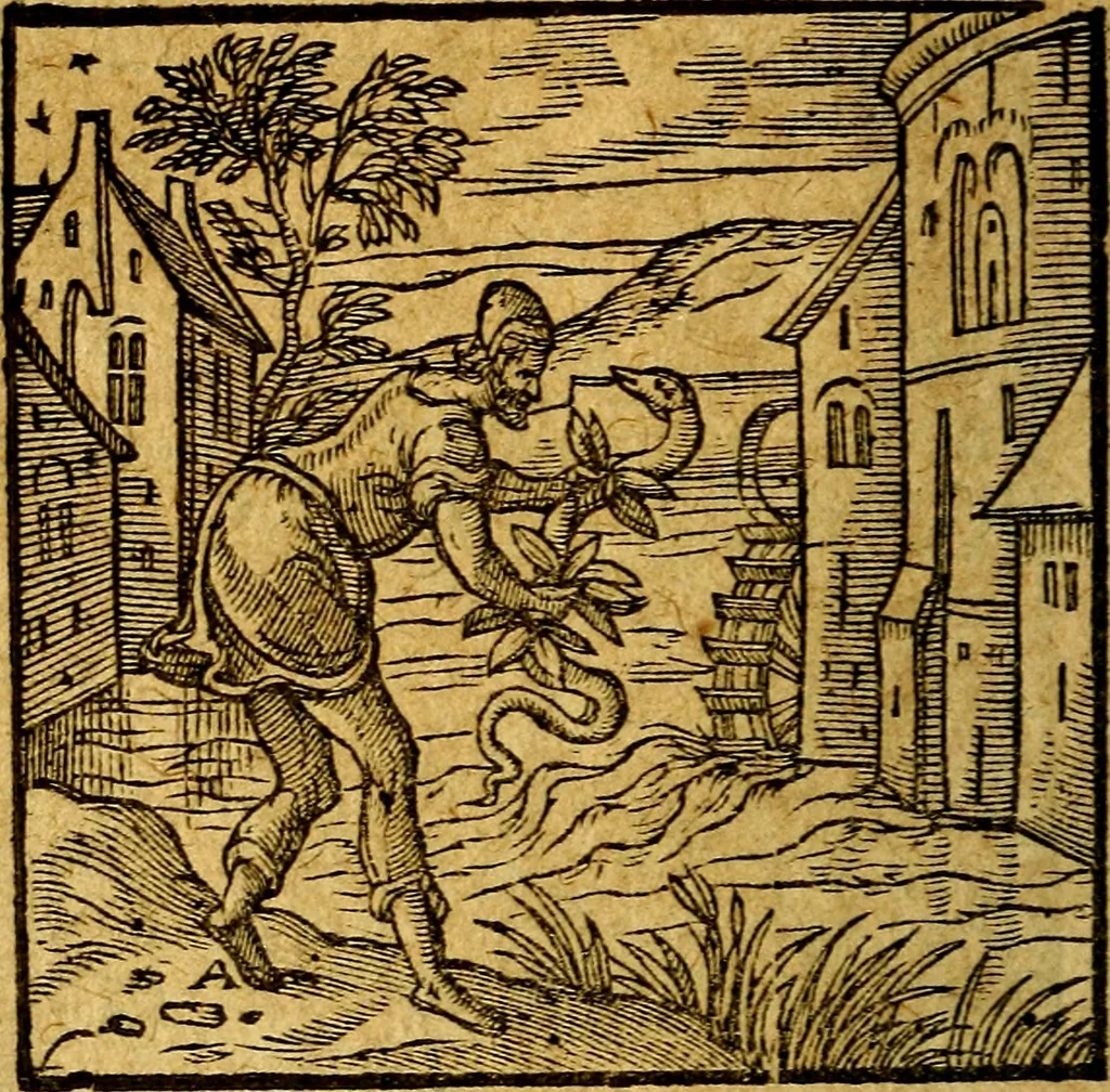 An illustration from Emblemata V.C. Andreae Alciati Mediolanensis iurisconsulti : cum facili & compendiosa explicatione, qua obscura illustrantur, dubiaq́ue omnia soluuntur,, 1622, leaf 41