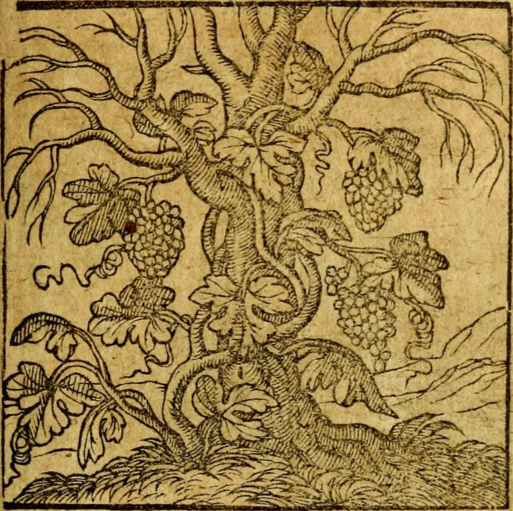 An illustration from Emblemata V.C. Andreae Alciati Mediolanensis iurisconsulti : cum facili & compendiosa explicatione, qua obscura illustrantur, dubiaq́ue omnia soluuntur,, 1622, leaf 44
