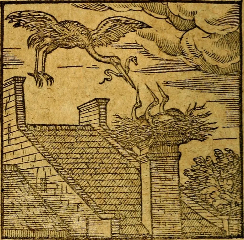 An illustration from Emblemata V.C. Andreae Alciati Mediolanensis iurisconsulti : cum facili & compendiosa explicatione, qua obscura illustrantur, dubiaq́ue omnia soluuntur,, 1622, leaf 51
