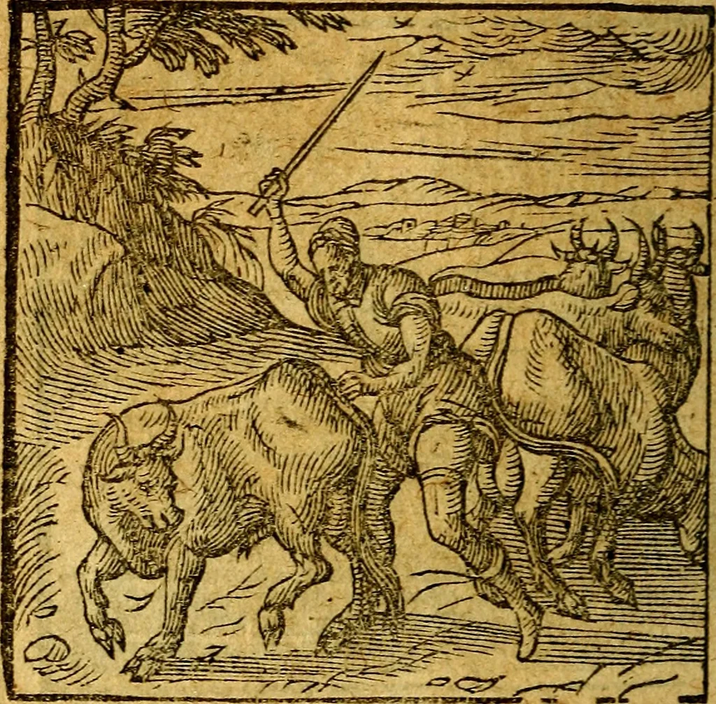 An illustration from Emblemata V.C. Andreae Alciati Mediolanensis iurisconsulti : cum facili & compendiosa explicatione, qua obscura illustrantur, dubiaq́ue omnia soluuntur,, 1622, leaf 55