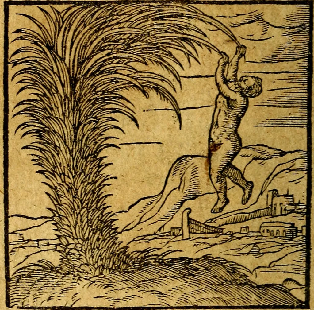 An illustration from Emblemata V.C. Andreae Alciati Mediolanensis iurisconsulti : cum facili & compendiosa explicatione, qua obscura illustrantur, dubiaq́ue omnia soluuntur,, 1622, leaf 57