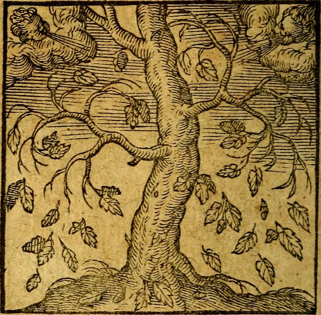 An illustration from Emblemata V.C. Andreae Alciati Mediolanensis iurisconsulti : cum facili & compendiosa explicatione, qua obscura illustrantur, dubiaq́ue omnia soluuntur,, 1622, leaf 63